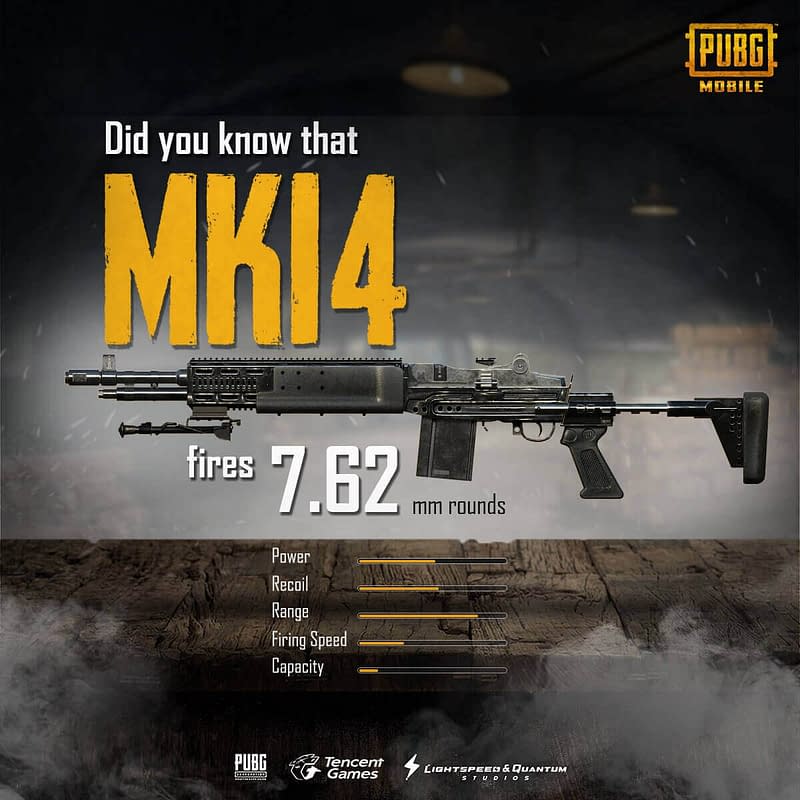 MK14 detail damage statistics